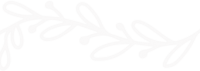 branch-white branch-white